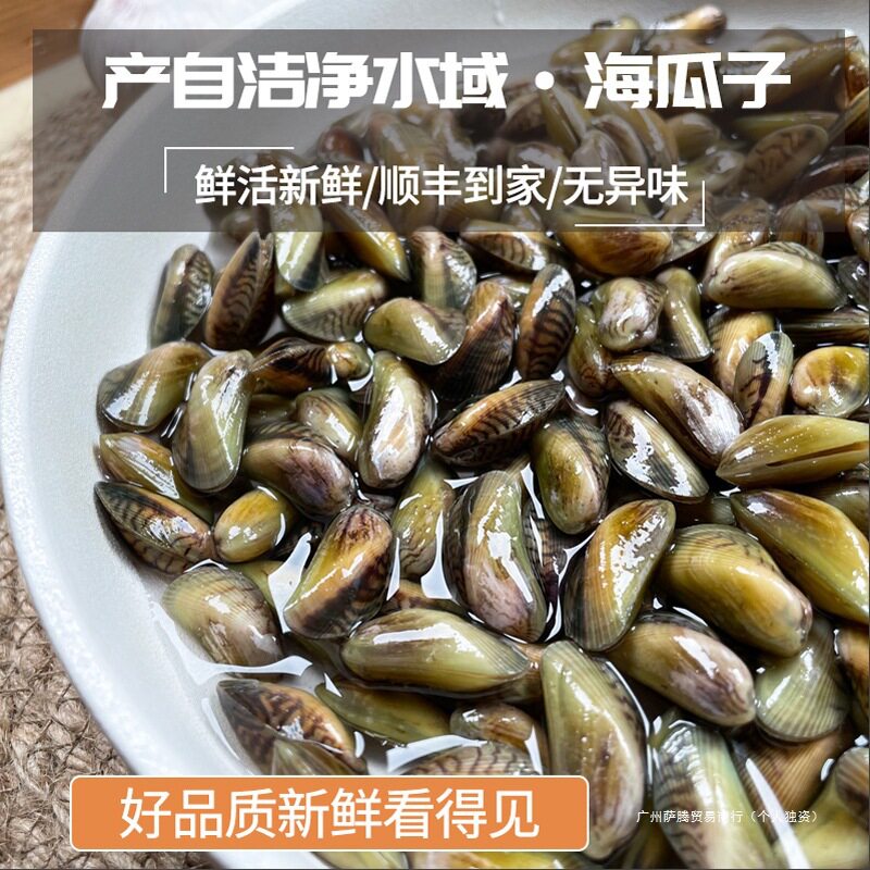 Free Shipping on Seafood, Aquatic Products, Sea Melon Seeds, Fresh Shellfish on the Same Day, Sf Sea-Caught Thin-Shelled Snails, White-Shelled Snails, Sea-Free