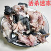 Breeding Grass Turtles, Vacuum Packaging, Shelling and Gutting, Wholesale Grass Turtles for Soup, Fresh