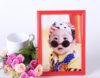 Factory direct modern simple photo frame 6 inch 7 inch 8 inch 10 inch wall hanging table A3A4 business license frame