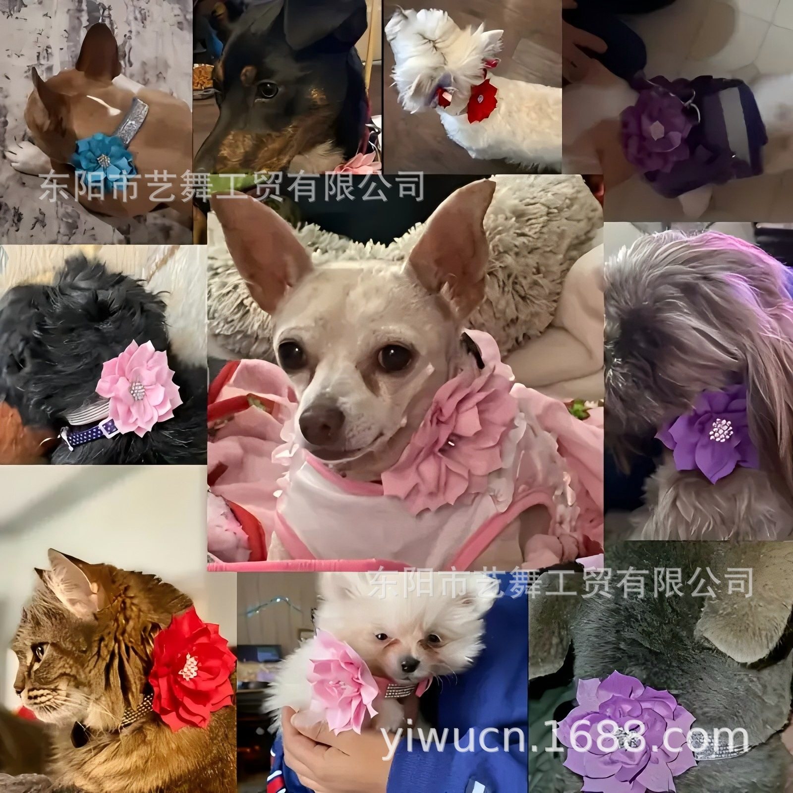 Cross-Border Dog Collar Soft Traction Dog Collar Shiny Rhinestone Adjustable Colorful Dog Walking Pet Dog Collar Wholesale