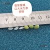 Jade Snail, Bean Snail, Shell Conch, Mini Small Conch 0.4- 0.7cm Specimen Collection
