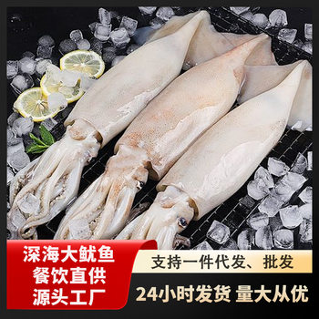 Whole Large Squid, Deep-Sea Fresh Frozen Squid Tentacles, Cuttlefish, Octopus, Seafood, Aquatic Products, Barbecue, Teppanyaki, Sf Express