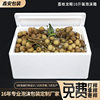 Litchi Longan 10kg Foam Box Post No.3 Refrigerated Fresh-keeping Fruit Transportation Foam Box Litchi Anti-collision Box