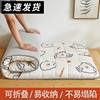 Air Fiber Mattress Student Dormitory Single Baby Bunk Mattress Rental Mat Quilt Tatami Cushion