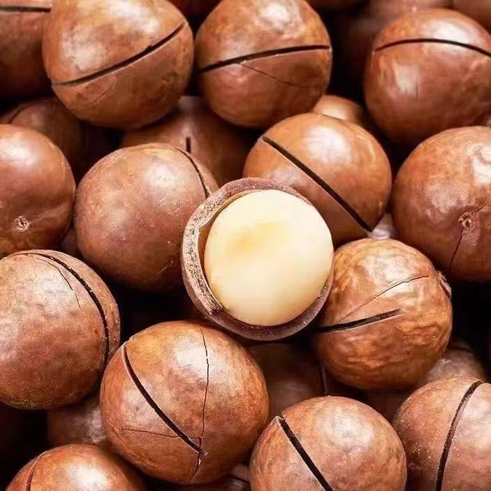 Macadamia Nut Milk, Creamy New Arrival, Healthy Pregnancy Dried Nuts, Largest Fruit Macadamia Nuts