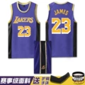 Lake R-purple suit-James 23 [send bracelet arm guard]]