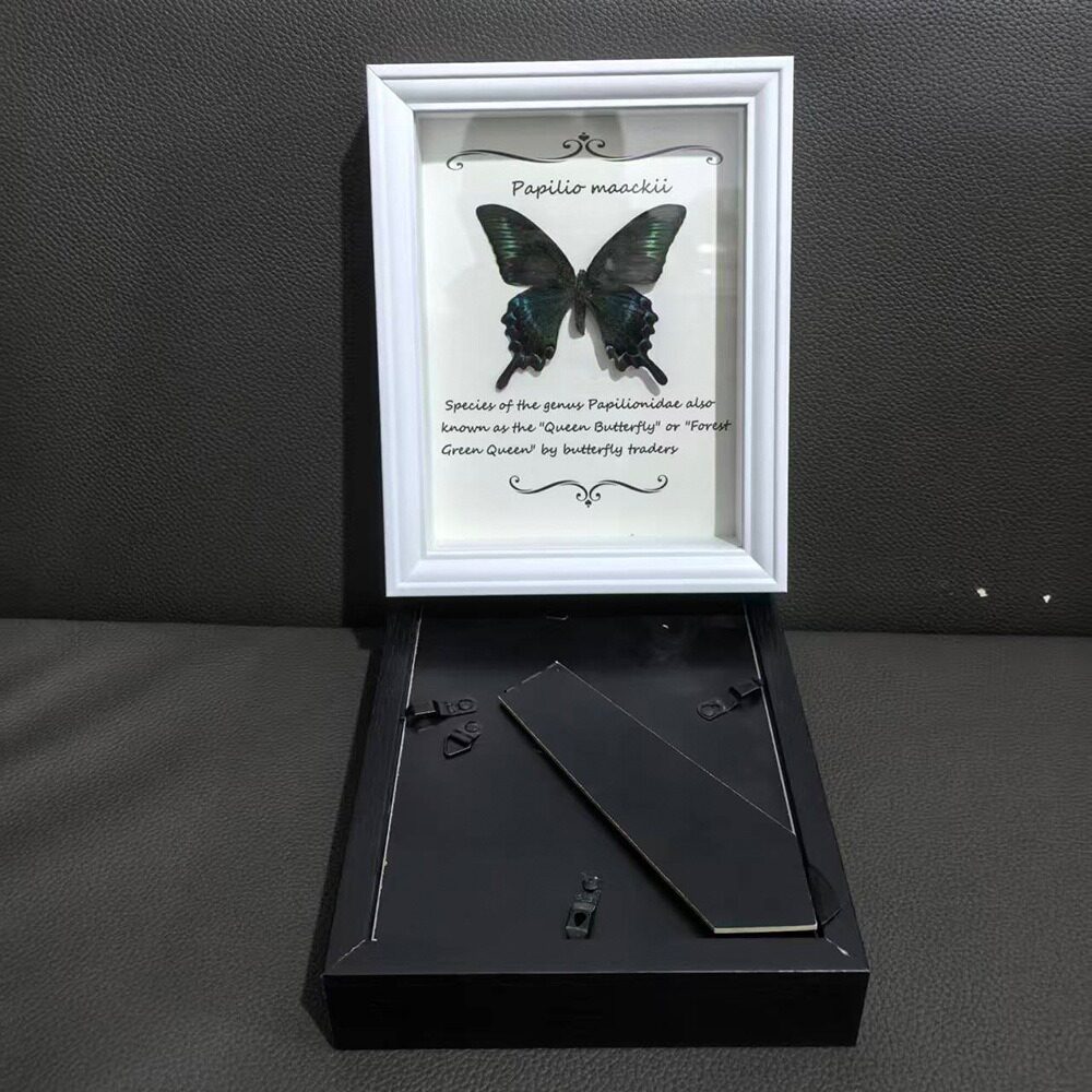 New Real Glass Hollow 2.2 Butterfly Specimen Photo Frame Creative Tabletop Decorative Picture Frame European Simple Style Ornament