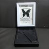 New Real Glass Hollow 2.2 Butterfly Specimen Photo Frame Creative Tabletop Decorative Picture Frame European Simple Style Ornament