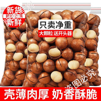 Macadamia Nuts in Shell, Large Creamy Nuts, Bagged Roasted Seeds and Nuts, Snacks with Opener