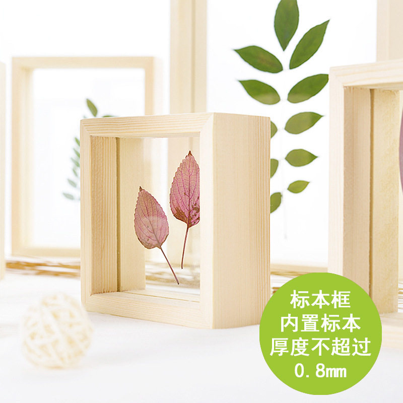 Wooden Photo Frame, Hollow Photo Frame, Insect Plant Specimen Photo Frame, Stereo Photo Frame, Creative Handmade DIY Display Frame Painting