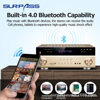 Dt5.1 Power Amplifier 5.1 Home High-Power Industry Bluetooth Hifi Fever Heavy Bass Home Theater Amplifier