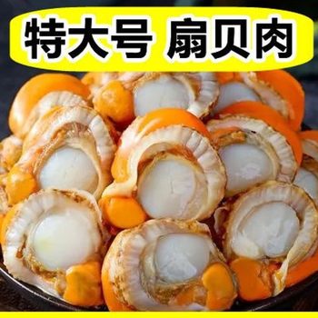 [Free Shipping] Freshly Peeled Large Scallop Meat, Fresh Frozen Wild Scallops, Whole Scallops, Garlic Scallops, Guaranteed Safe