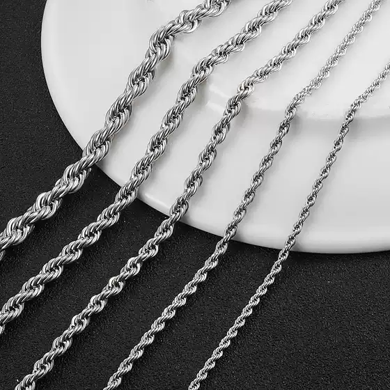 European and American Stainless Steel Chain Hip-Hop Trendy Twist Chain Titanium Steel Simple Snake Bone Chain Niche Clavicle Chain Personalized Style Trend