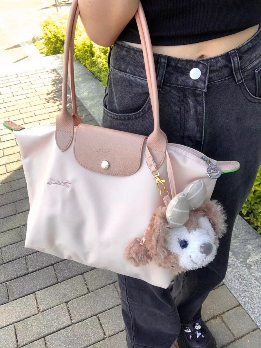 Cross-Border French Longxiang Bag Embroidered Dumpling Bag Folding Bag Large Capacity Longxiang Tote Bag Women's Bag Armpit Bag