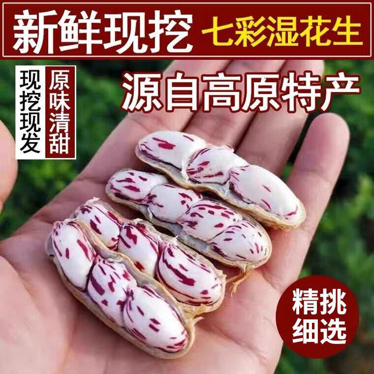 Colorful Raw Peanuts 100g Direct from Manufacturer, Seamless Wholesale, Excellent Price, In-Stock Distribution, Popular on Douyin, Kuaishou, and Pinduoduo