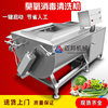 Household small stainless steel vegetable washing machine sink type vortex vegetable washing machine pesticide residue removal cleaning equipment
