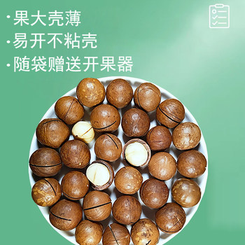 Wholesale Creamy Macadamia Nuts 500g Bulk Dried Fruit Snacks Large Pieces