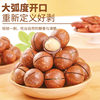 [New Arrival in 25 Years] Macadamia Milk Flavored Nut Snacks Dried Fruit Specialty Roasted Nuts 225