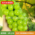seller product image