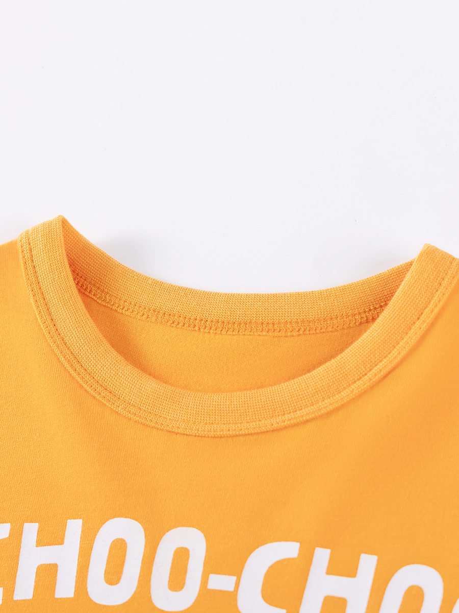 Source Factory Kids' Clothing Wholesale, [Style] Boys' T-shirt, Autumn Cotton Long-sleeve Top