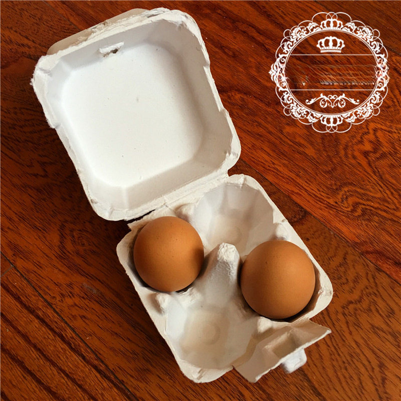 Kindergarten Egg Paper Tray Egg Tray Earth Egg Packaging Box Pulp Egg Tray Egg Box with Lid Only