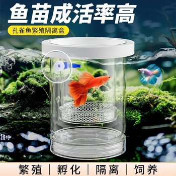 Fish Tank Hatching Box, Guppy Breeding Isolation Box, Small Fish Eggs, Fry, Zebrafish, Betta Tank, Fish Tank Supplies