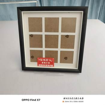 TX Jiugongge Photo Frame DIY Dried Flower Plant Specimen Frame Artistic Retro Photo Wall Combination Photo Frame Soft Pack