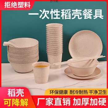 Disposable Tableware Set for Wedding Banquet, Picnic Barbecue, High-Looking Combination Tableware Set of Four Pieces