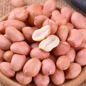 New goods in season Fresh farmhouse self-growing white sand peanut kernels Special price wholesalers use raw peanuts without shells for oil extraction