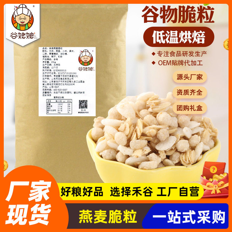 New Wholesale Oat Crisps in Bulk, Ready-To-Eat Cereal Crisps, Filling Meal Replacement, Sugary Baked Oat Crisps