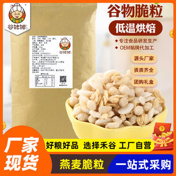 New Wholesale Oat Crisps in Bulk, Ready-To-Eat Cereal Crisps, Filling Meal Replacement, Sugary Baked Oat Crisps