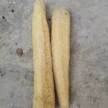 6cm Diameter Small Loofah Scrubber, Loofah Pulp, Loofah Cloth, Old Loofah Fiber, Dishwashing Towel, Pot Scrubbing Cloth, Natural