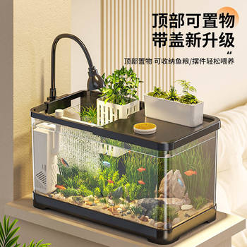 Factory Direct Supply of New Small Living Room Home Landscaping Complete Set of Ecological Water Tank with Cover Transparent Desktop Fish Tank Turtle Tank