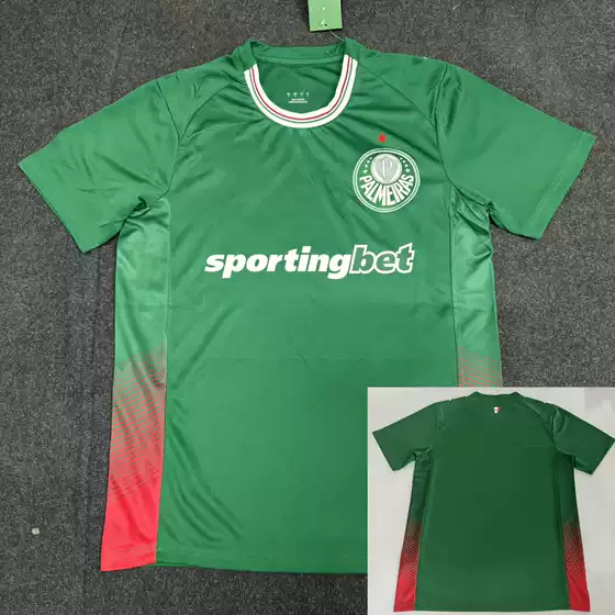 In-Stock Dropshipping Brazilian League 2627 Palmeiras Home and Away Football Jerseys Men's Long-Sleeve Training Shirts Retro