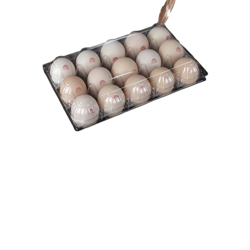 Disposable plastic egg holder transparent 15 large, medium and small stupid earth egg packaging pet factory direct postage