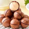 Bulk Macadamia Nuts Wholesale, Large Fresh Macadamia Nuts, Creamy Flavor, Large Thin-Shelled Snacks, Roasted Nuts
