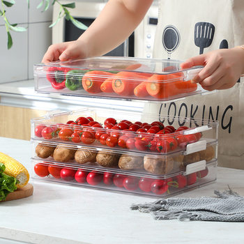 Large Refrigerator Quick-Freezing Dumpling Box Food-Grade Wonton Preservation Storage Box Household Plastic Transparent Dumpling Preservation Box