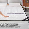 Popular Mattress Student Dormitory Single and Double Tatami Sponge Mattress Four-Season Mattress Home Thickened Soft Mattress Mattress
