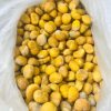 Raw Chestnut Kernels Factory Export Processed Chestnut Filling Ingredients Fresh Wholesale Wild Chestnuts Peeled and Shelled