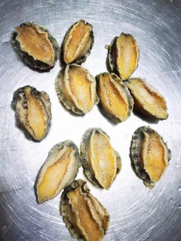 Abalone [Haitou Manufacturers] Abalone Meat Frozen Abalone Raw Material Supply Haitou Straight Hair