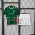 2627 palmeiras home