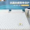 Class A Soybean Fiber Cotton Mat Thickened Antibacterial Latex Mattress Home Dormitory Student Tatami Soft Mat