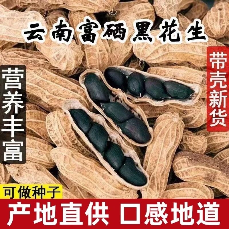Yunnan Selenium-Rich Black Peanuts, Genuine Shelled Raw Black Peanuts, Black Peanuts, Spleen and Stomach Health Snacks for the Elderly and Kidsren