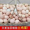 40 Pieces of Farm-Raised Eggs, Authentic Free-Range Fresh Original Ecological Eggs, One Cordyceps Nutrition, Commercial Cordyceps Group Purchase