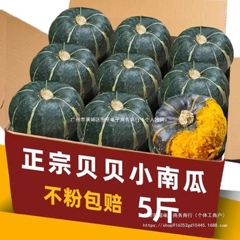 Baby Pumpkin Powder Glutinous Fresh Chestnut Flavor Small Pumpkin Chestnut Noodles Japanese Old Pumpkin Baby Pregnant Women Powder Glutinous Whole Box