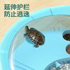 Chongshangtian Turtle Tank Comes with 2 Live Turtles, Brazilian Turtles, Chinese Tortoises, Kidsren's Pet Turtles, Black Turtles, Live Turtles