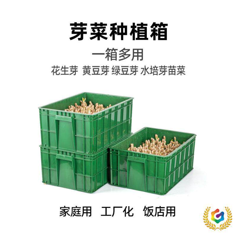 ◈ Peanut Sprout Hydroponic Box, Mung Bean Sprout Seedling Tray, Sprout Vegetable Planting Box, Raw Soybean Sprout Container, Household Plastic