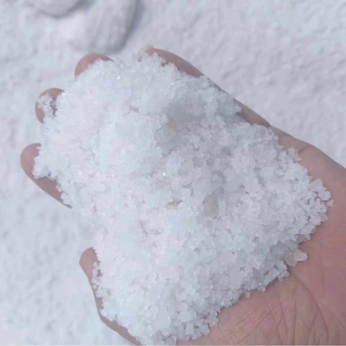 Sun Salt Sea Salt Granular Salt Sodium Chloride Content 91-94%