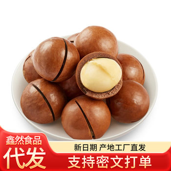 [New] Hawaiian Fruit 500g Large Particle Creamy Nut Pregnant Women Leisure Snacks Roasted Wholesale New Year Goods