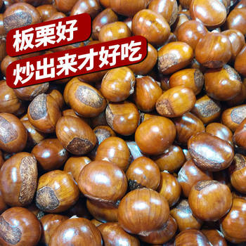Qianxi chestnut fresh oil chestnut selection fresh chestnut kernel raw chestnut big full wholesale postage factory wholesale